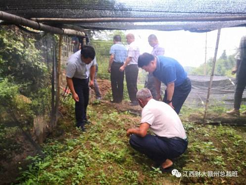 【扶貧活動】博海國濟商學院贛州教學點——贛州市江西財大EMBA同學聯(lián)誼會赴會昌縣洞頭鄉(xiāng)開展扶貧活動669.jpg