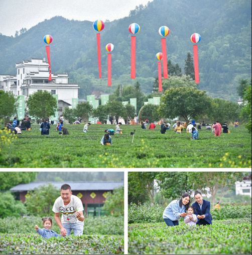 贛州教學(xué)點江財EMBA同學(xué)聯(lián)誼會走進上猶第四屆茶香旅游季1106.jpg